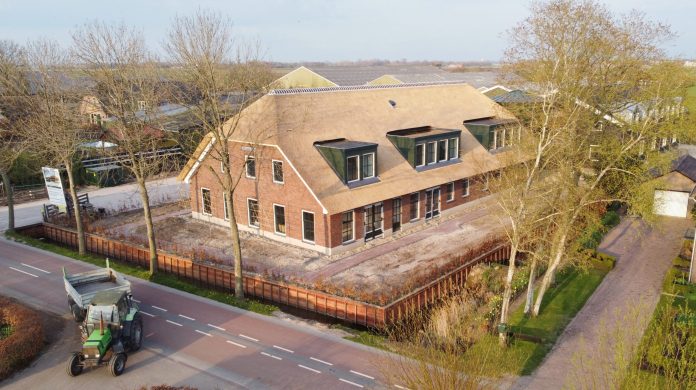 King_Arthur_Zevenhuizen (1).jpeg